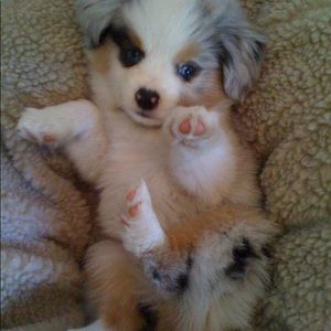 Meet your Posher, Jenn